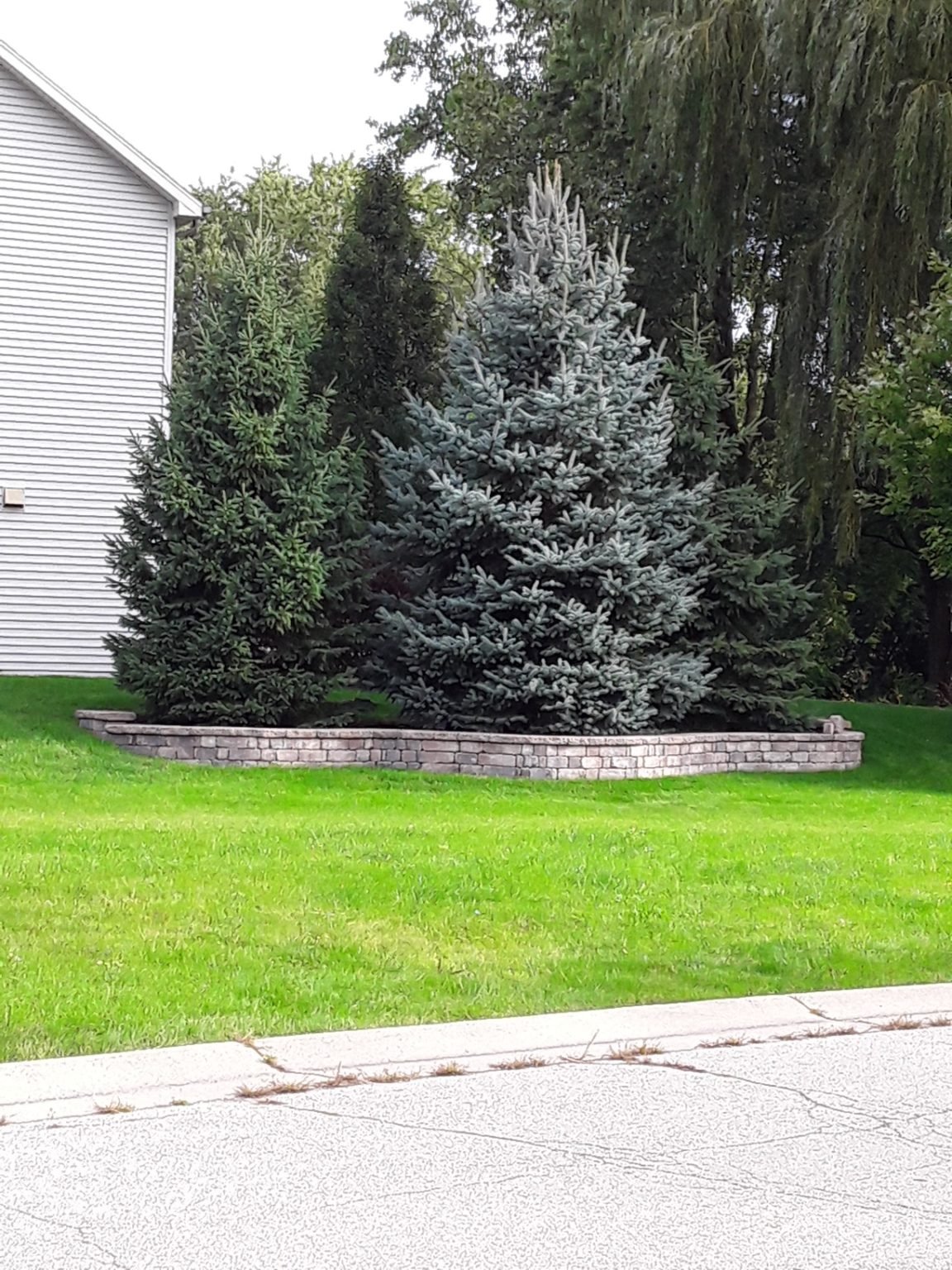 Snow Removal in Racine WI, Landscaping Services in Racine WI, Sod
